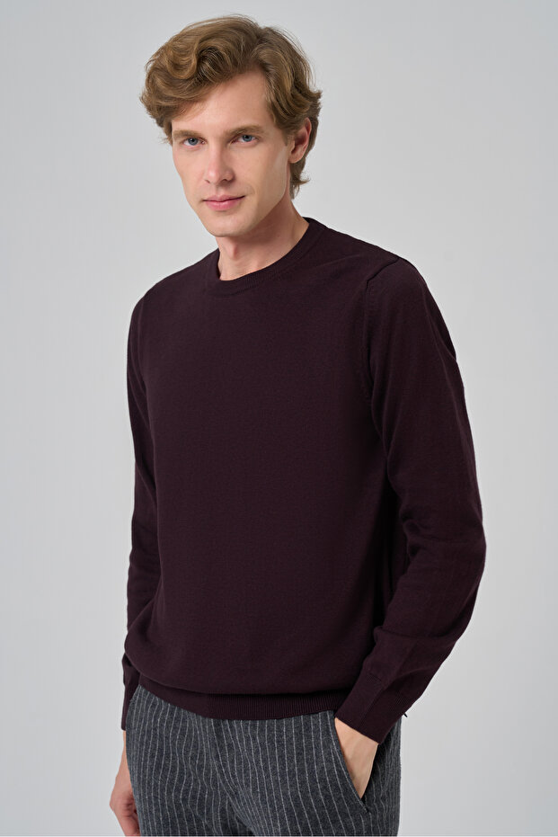 Erkek Mor Basic Bisiklet Yaka Dynamic Fit Rahat Kesim Triko - 1