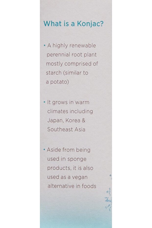 Pure Complexion Sensitive Konjac Sponge - 2