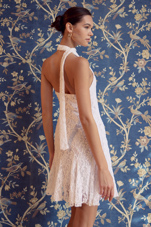 BALLET Dantelli Elbise - 5