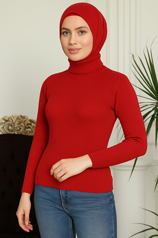 Lycra Knitwear Turtleneck Sweater