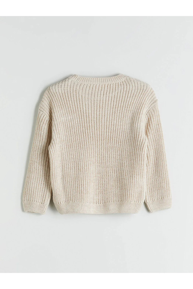 LCW ECO Bej Bisiklet Yaka Triko Erkek Çocuk Kazak - 3