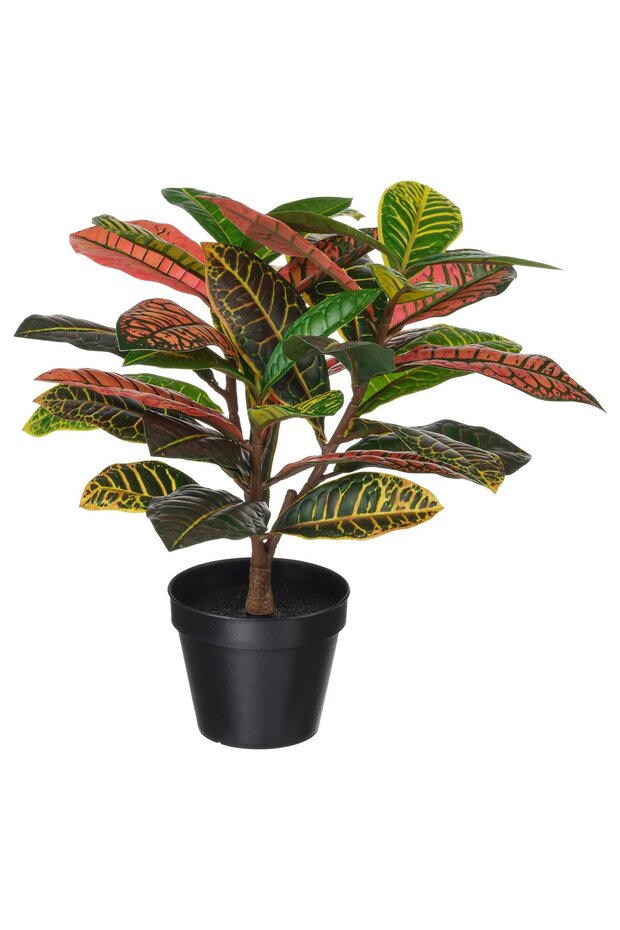 FEJKA Artificial potted plant, in/outdoor Croton, 12 cm