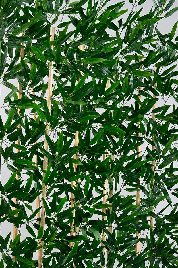 Bambu Separator 170 cm 10 dallı Yoğun Yapraklı - 3