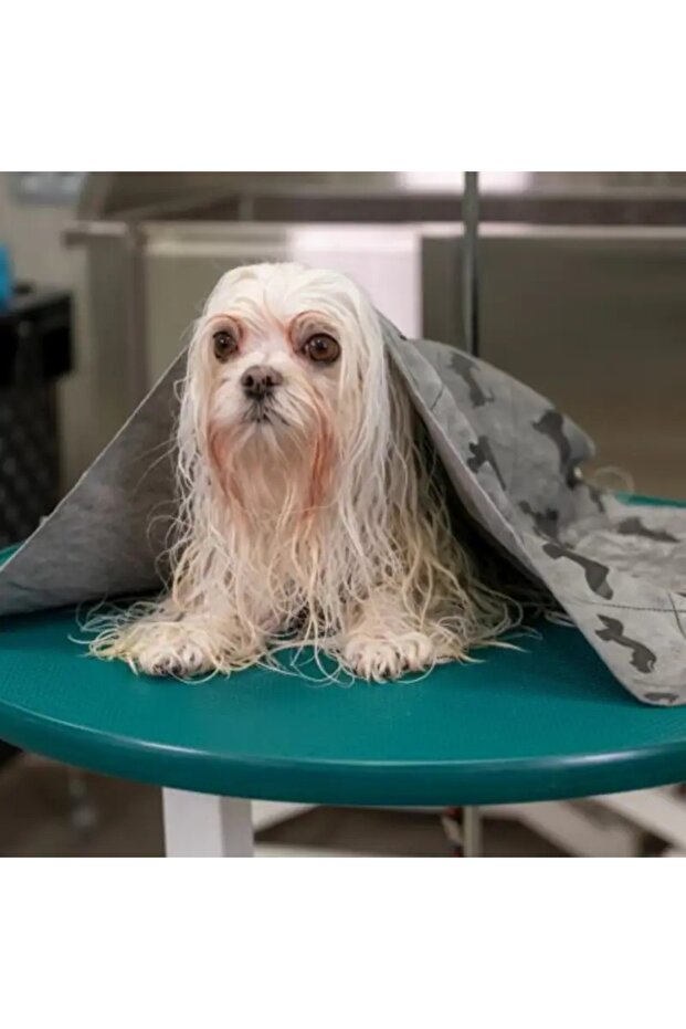 Show Tech+ Dry Mate Kedi Köpek Kurulama Yüksek Emici Havlu - 1