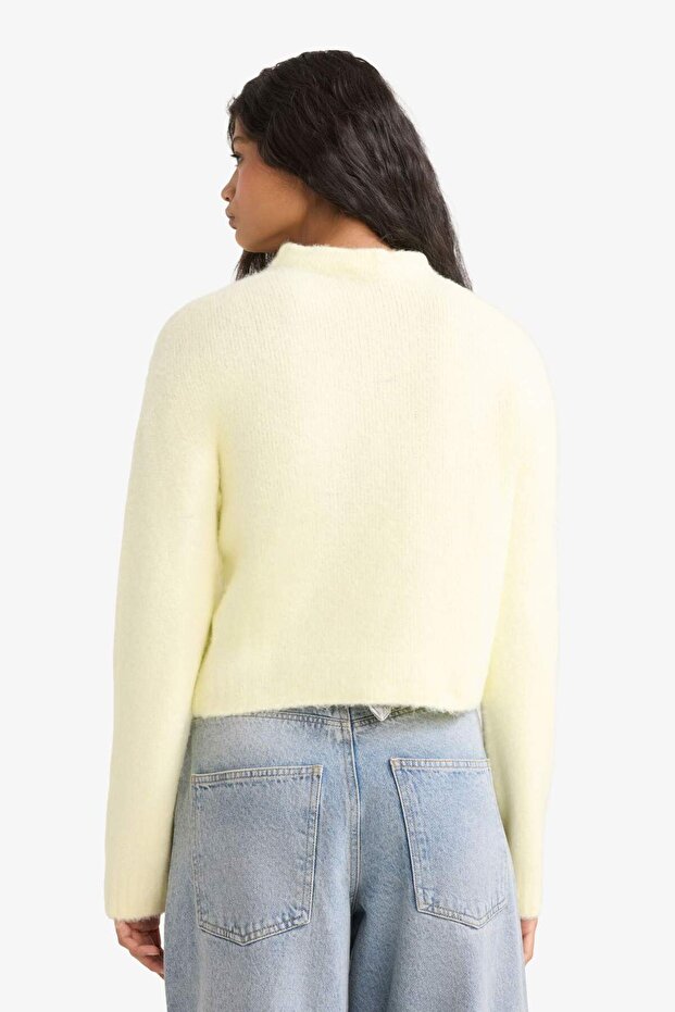 Regular Fit Yarım Balıkçı Yaka Kazak F4768AX25WN - 4