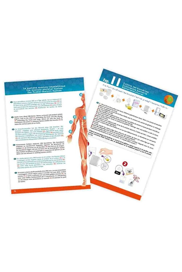 جسم الإنسان - 3