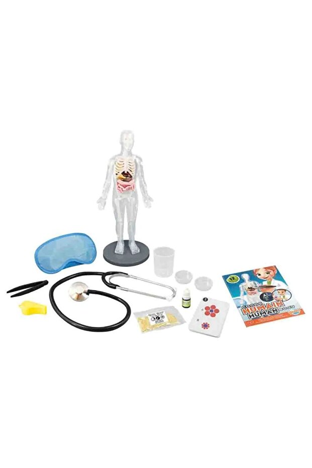 جسم الإنسان - 2