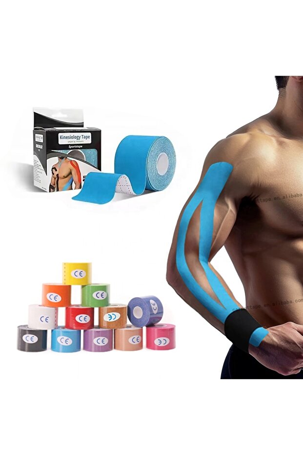 Muscle Support Band