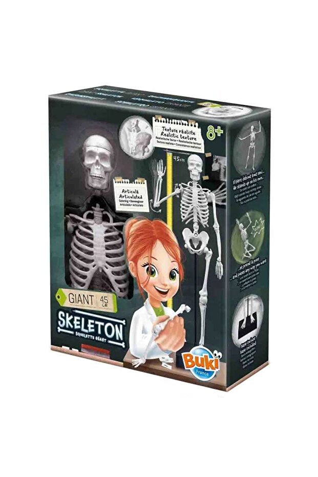 هيكل عظمي 45 سم - 1