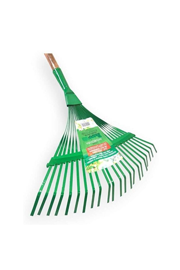 Brazil Premium Steel Rake with Wooden Handle, Leaf Rake, Garden Tool (FJ 1101)