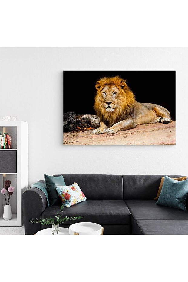 Resting lion painting, code 3248 - 3