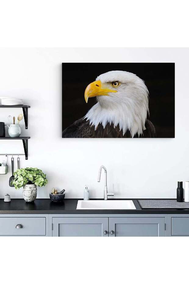 Bald eagle painting, code 3094 - 3
