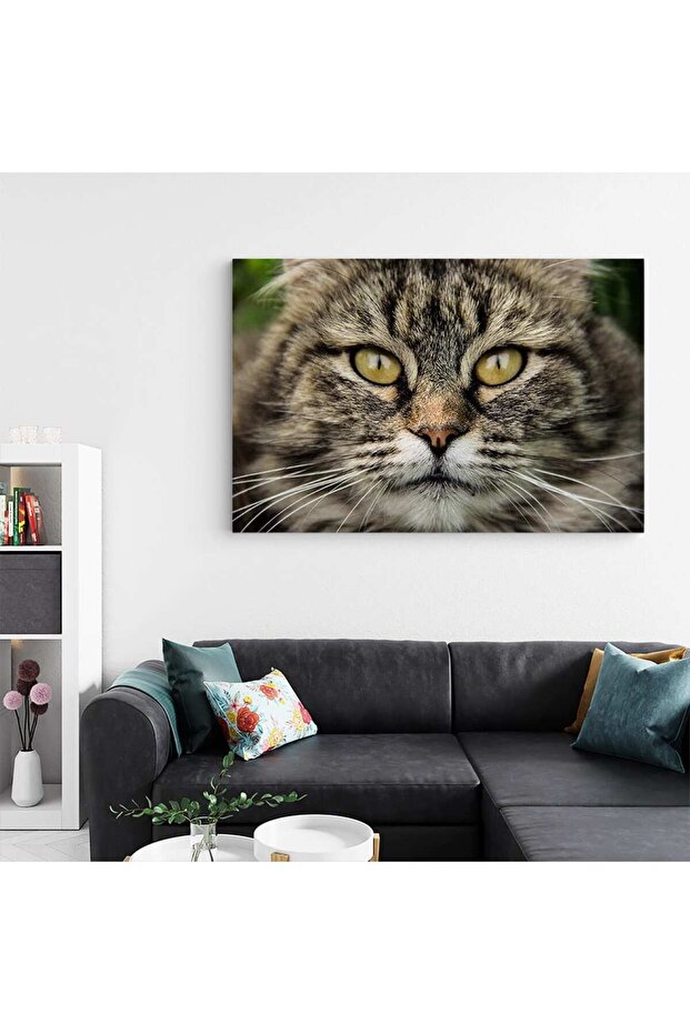 Cat portrait painting, code 4209 - 5