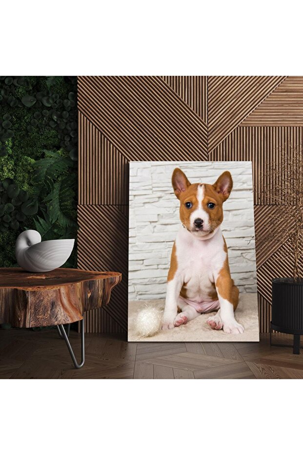 Basenji dog painting, code 4159 - 5