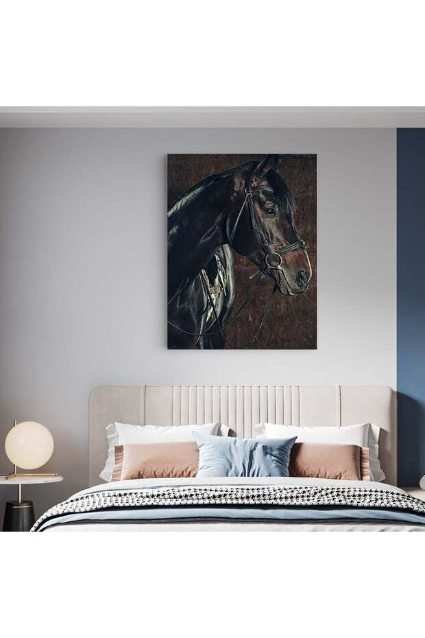 cal negru, cod 3053 - 3