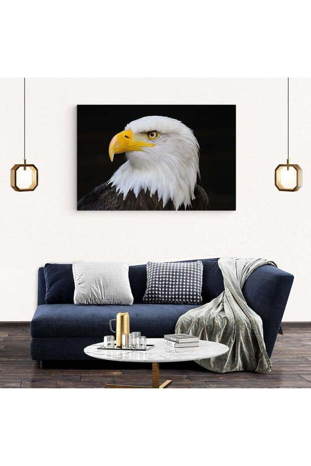 Bald eagle painting, code 3094 - 6