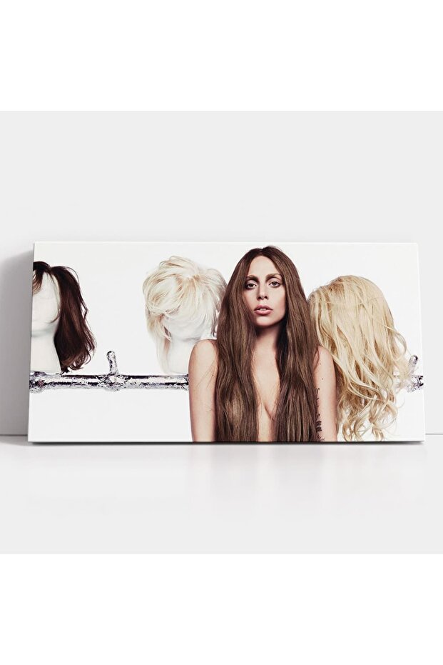 Lady Gaga singer, code 2347 - 3