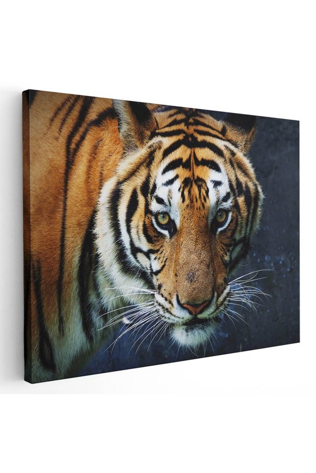 Tablou tigru siberian, cod 3241