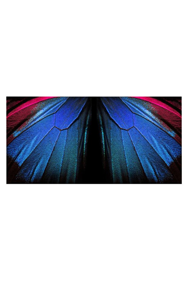 Tablou aripi de fluture roz albastru, cod 1871 - 2