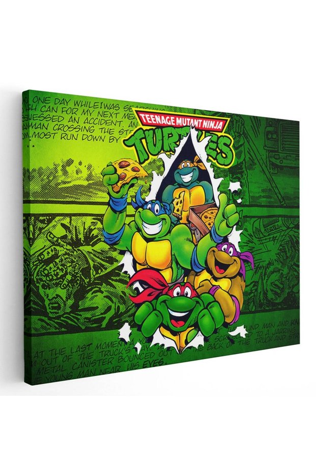 Testoasele Ninja desene animate, cod 2203