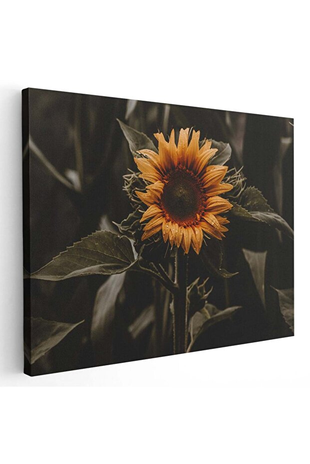 Sunflower painting, code 2618 - 1