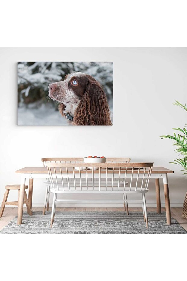 Tablou caine Cocker Spaniel, cod 4181 - 3