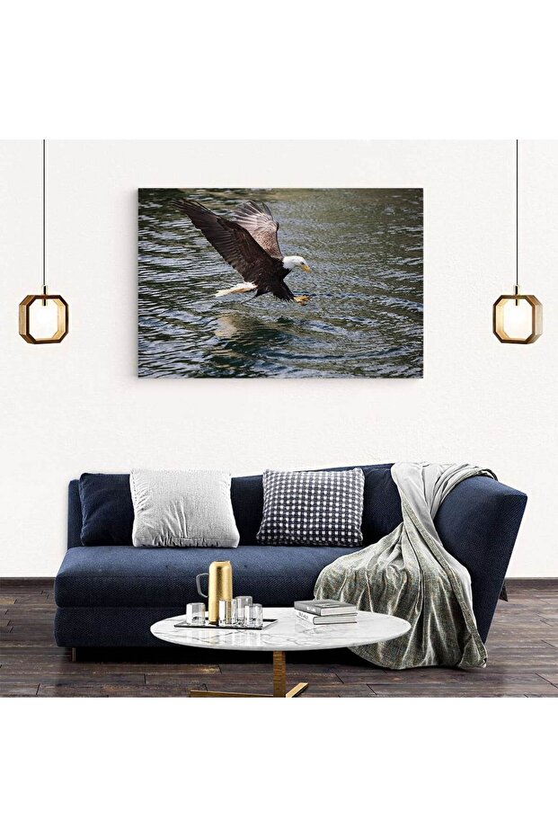 Bald eagle painting in flight, code 3098 - 5