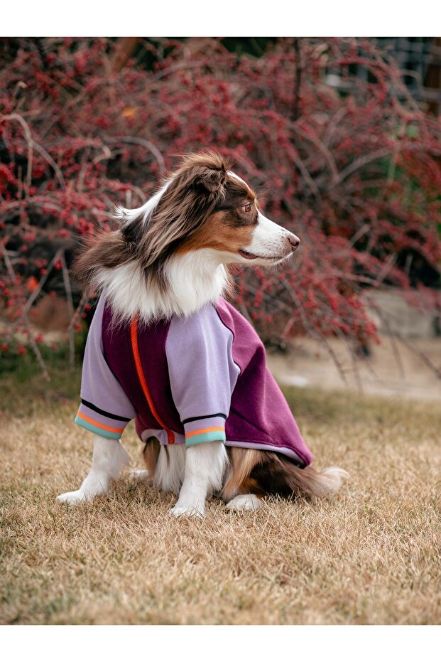 Bomber Jacket | Berry Burst - 7