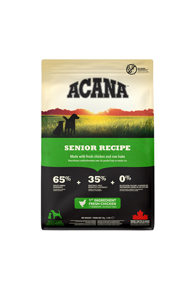 Senior Recipe Dry Dog Food