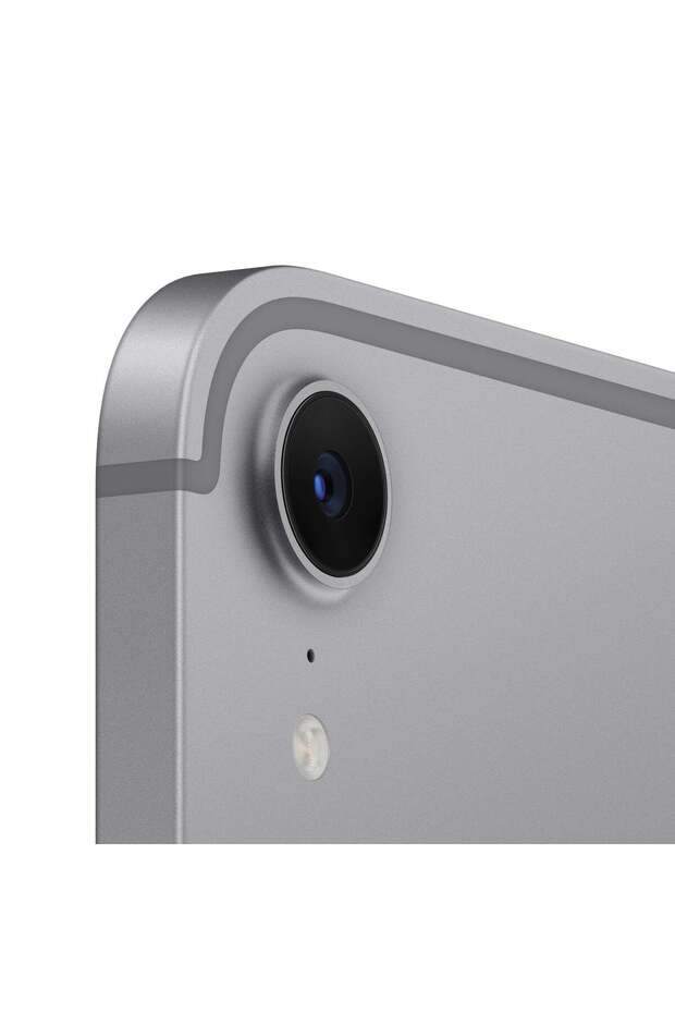 iPad mini 7, 256 GB, Cellular, Gri Spațial - 4