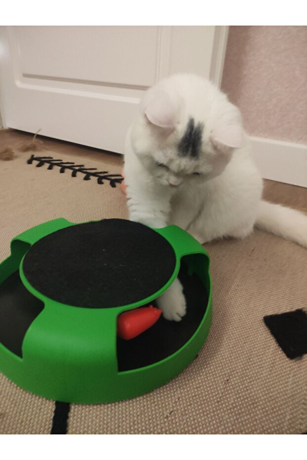Catch the Mouse Cat Toy – Rotating Mechanism and Scratching Pad - 7