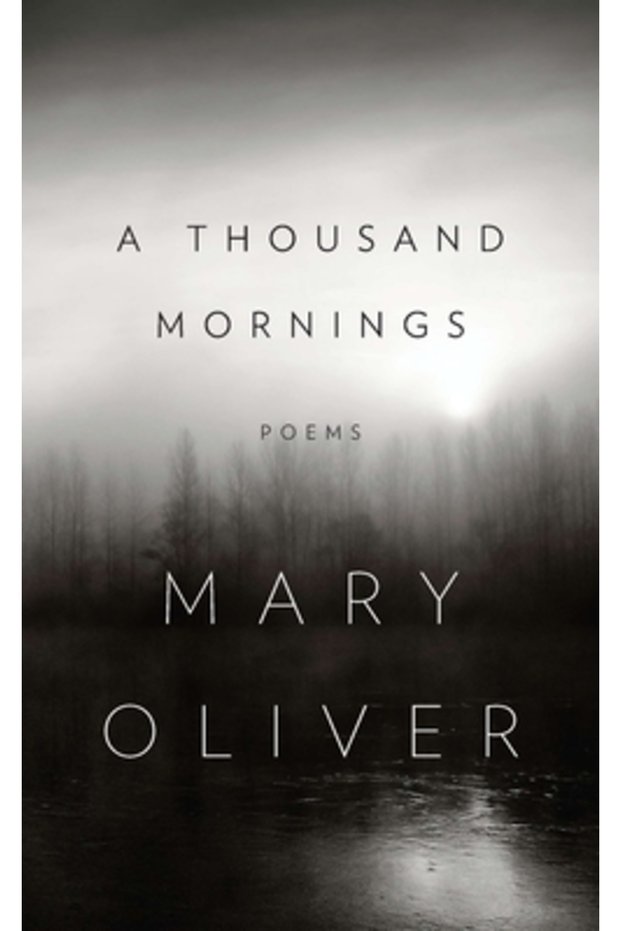 A Thousand Mornings