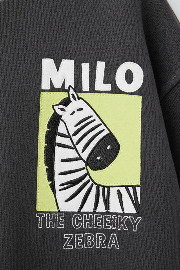 Erkek Çocuk Pamuklu Milo Zebra Desenli Eşofman Takımı - 6