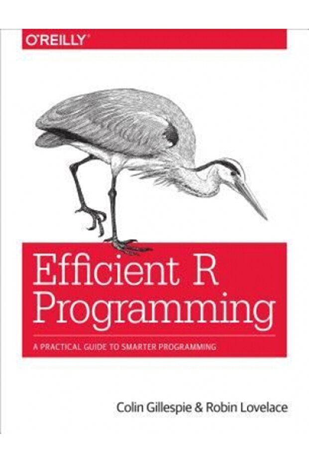 Efficient R Programming: A Practical Guide to Smarter Programming - 1