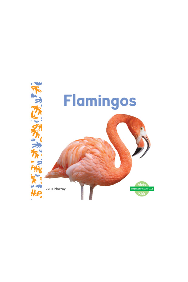 Flamingos - 1