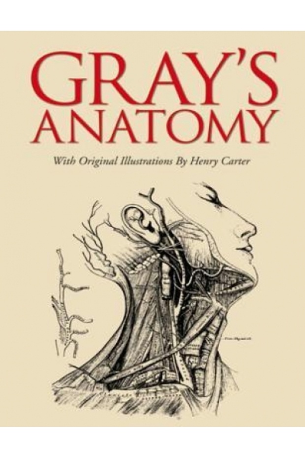 Gray's Anatomy - 1