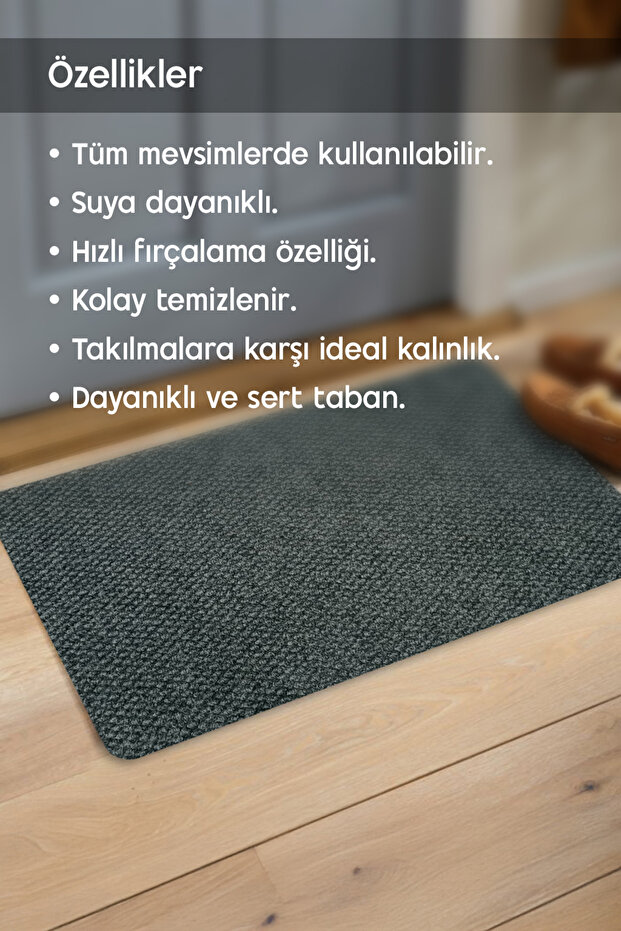 Toz ve Nem Alıcı Ev Kapı Önü Paspası Ev Kapı Paspası - 2