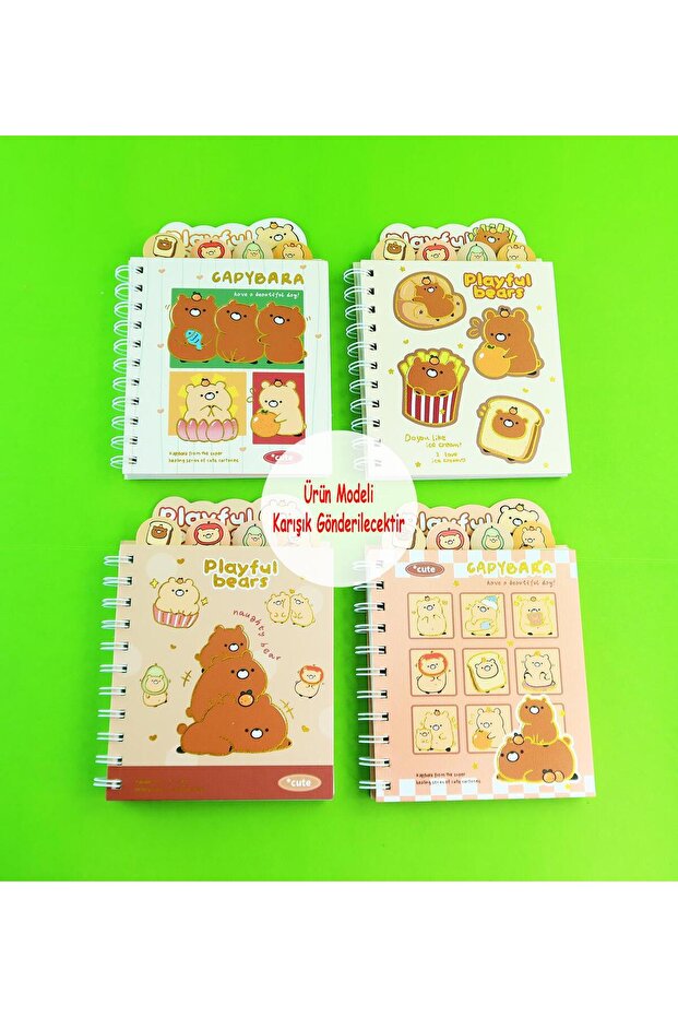 دفتر ملاحظات مخطط بأربعة أقسام من كابيبارا - BM-1877 - 5