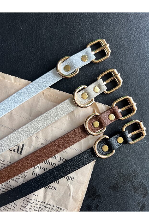 4-Piece Value Pack Gold Roller Buckle Belt, Trouser Belt, Shirt Belt, Dress Belt