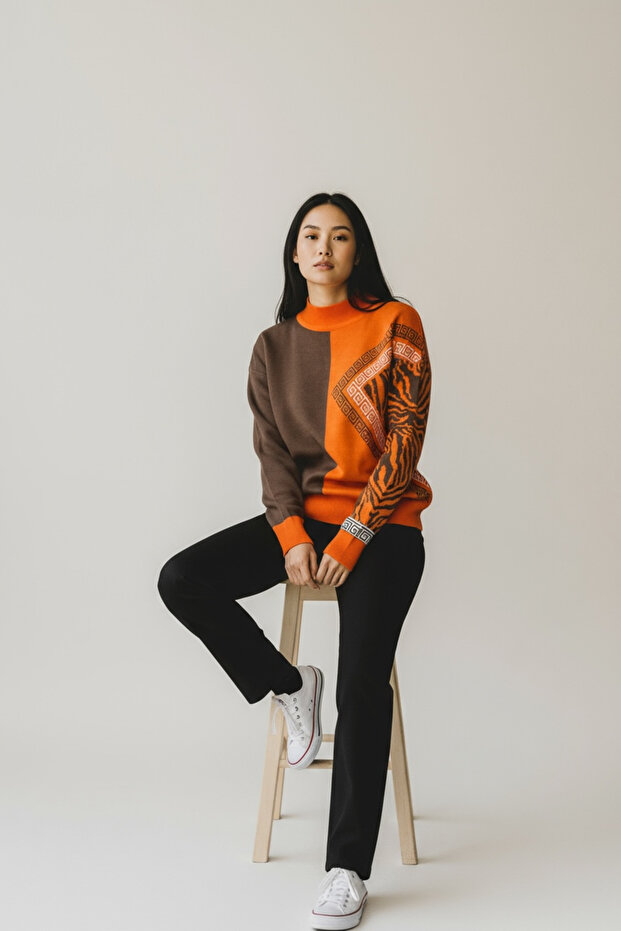 Half-Throated Patterned Knitwear Sweater – Stylish Model with Geometric and Zebra Pattern Combination - 3