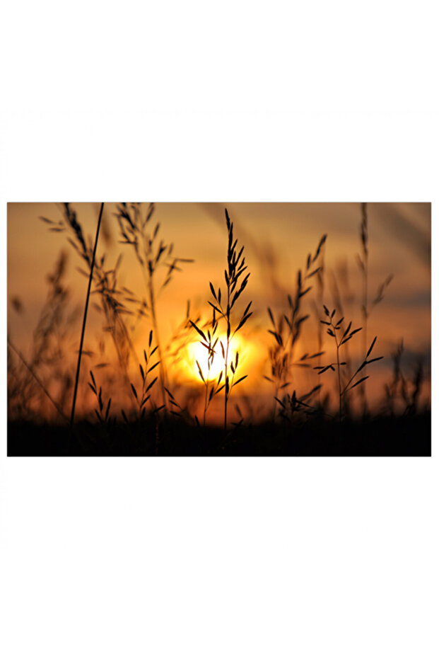 لوحه جداريه كانفس - غروب - 1510 - 1