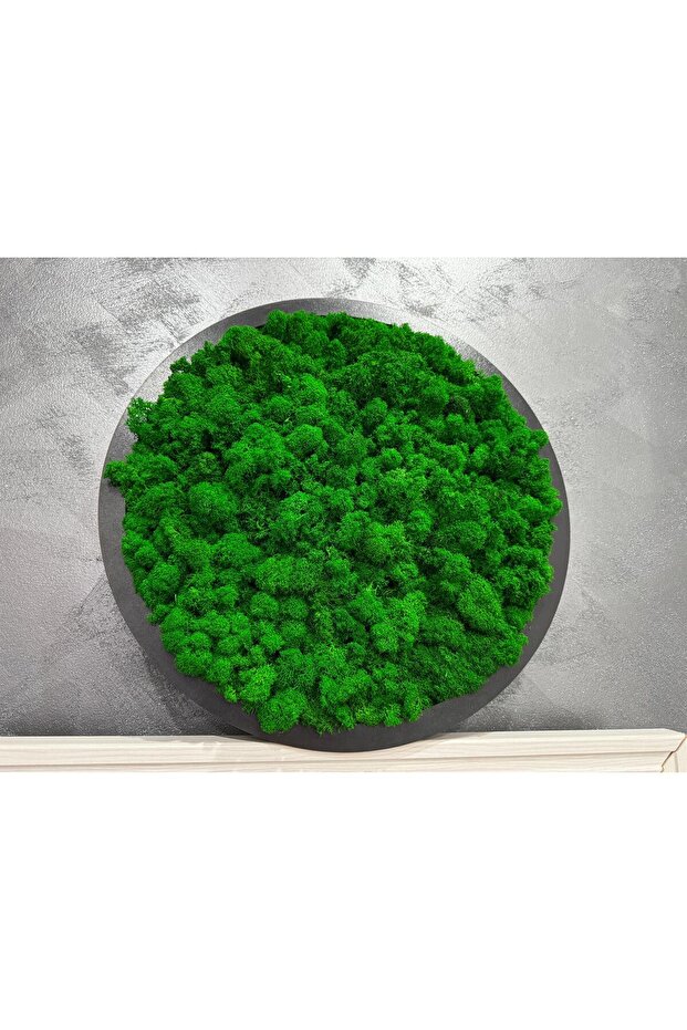 Lichen decoration - 4