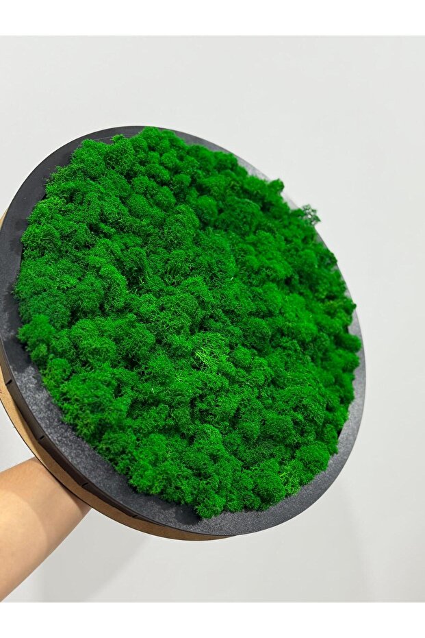 Lichen decoration - 3