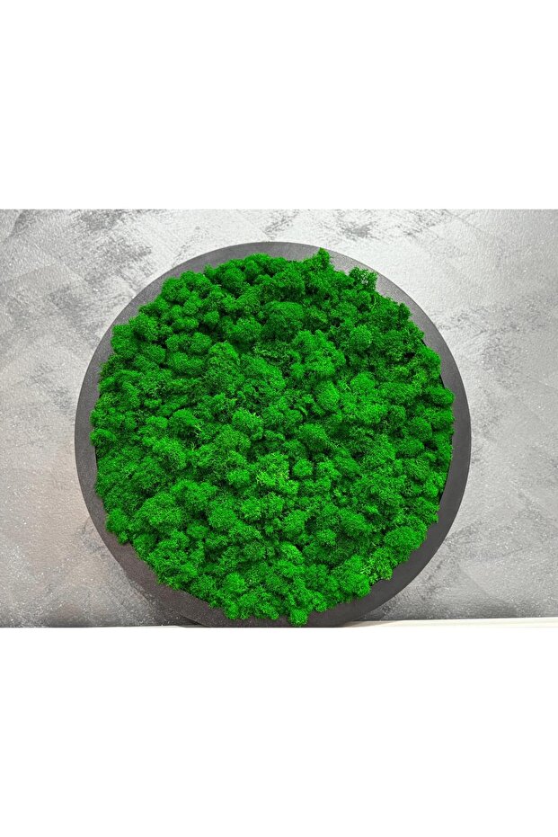 Lichen decoration - 1