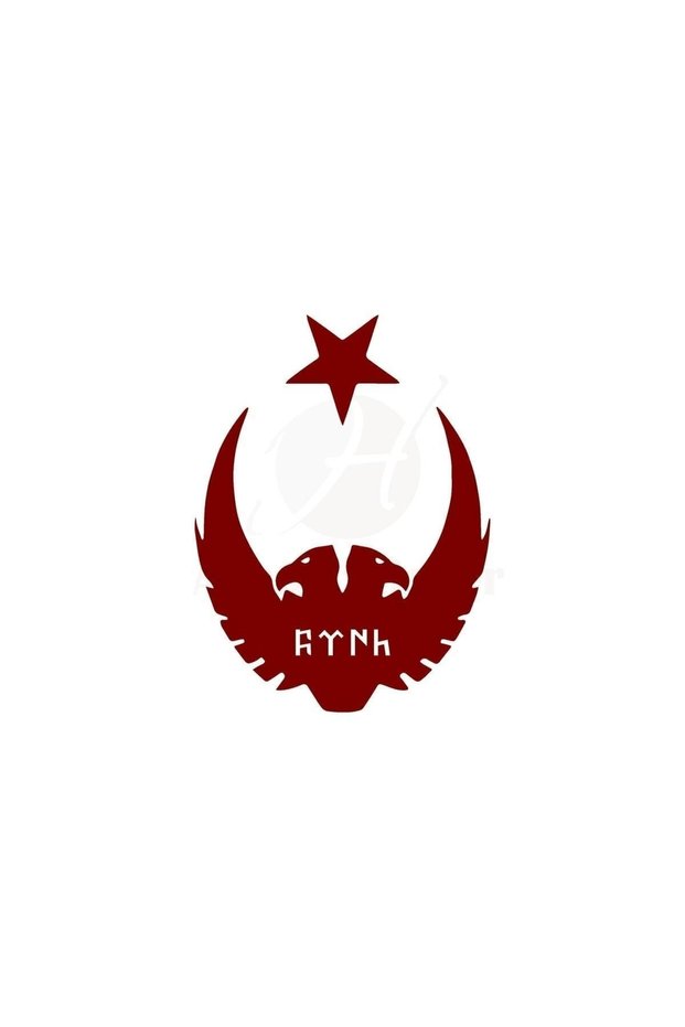 Moon Star Eagle Gokturkish Turkish Car Sticker Red 30X25 cm