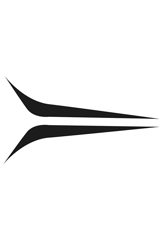 Hood Strip Sticker - Car Sticker - Auto Sticker 2 Pieces Right-left
