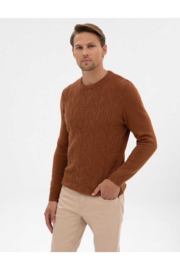 Brown Regular Fit Crew Neck Knit Sweater 50315721-Vr040