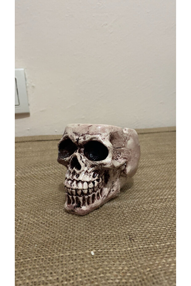 Kafatası küllük - 4