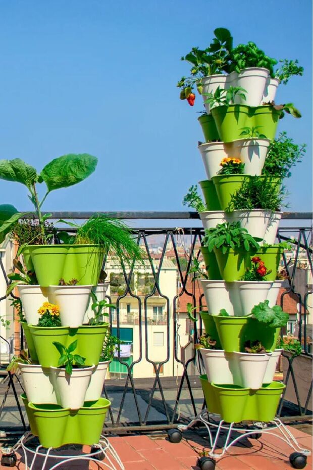 Tere Fidesi 10 Adet - 8