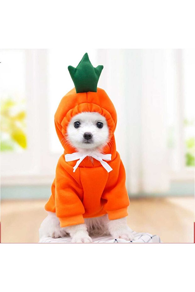 Haină pentru câini, tip hanorac pentru animale de companie, model Carrot - mărimea M, 44x30 cm - 2